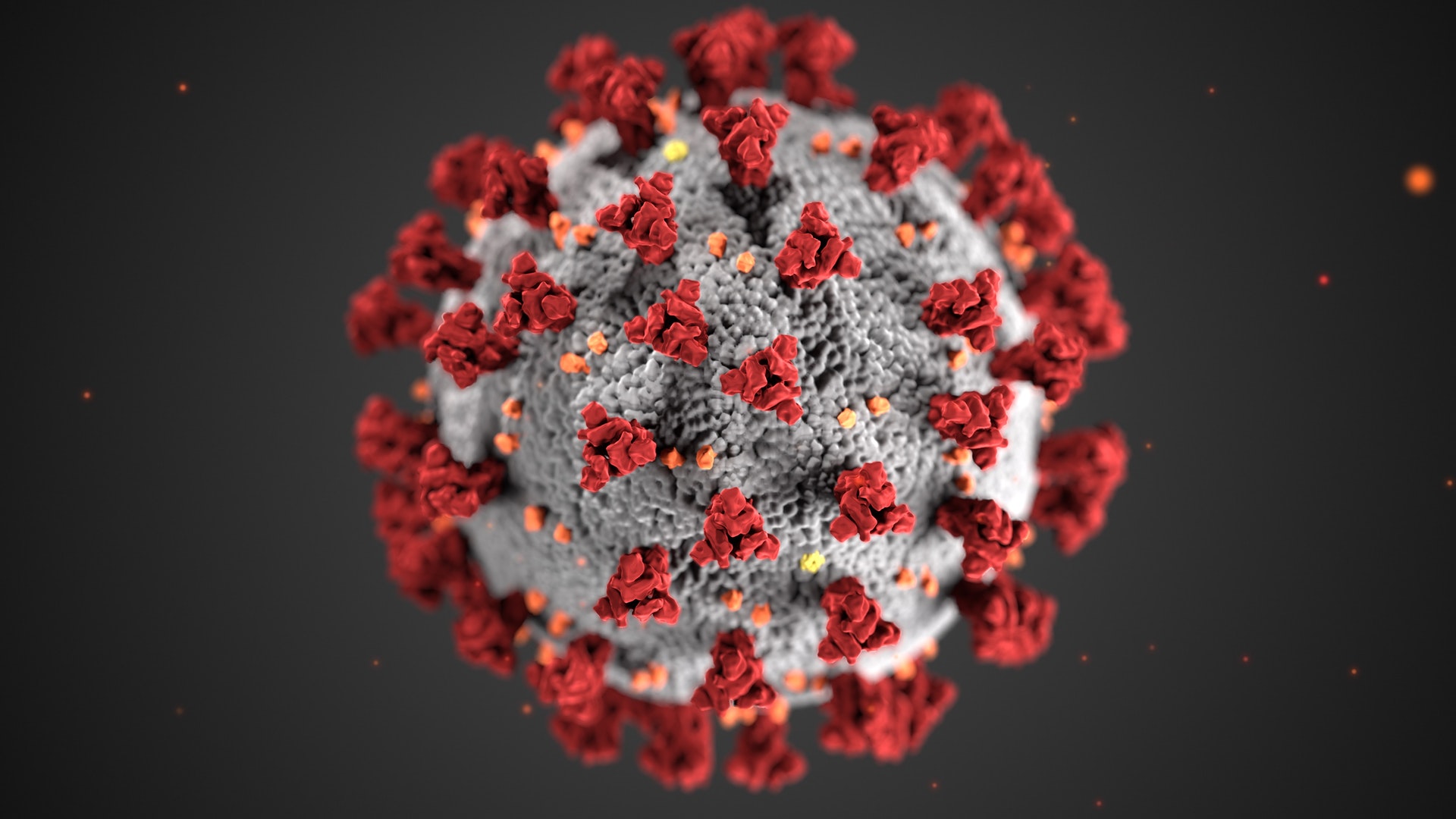 CDC Covid Virus